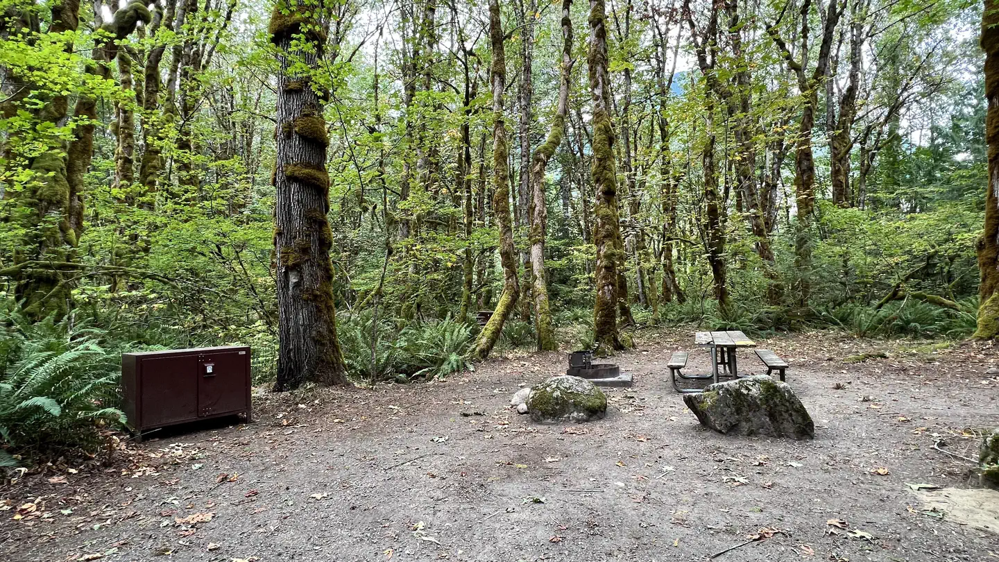 Goodell Creek Campground