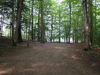 Pete's Lake Campground Site