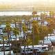 High, wide aerial view showing the campground layout with numerous RVs, paved lanes, palm trees and adjacent waterway — useful overview of Golden Shore RV Resort (image used on the site’s RV Camping page).