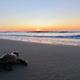 A turtle crawls toward the sea.