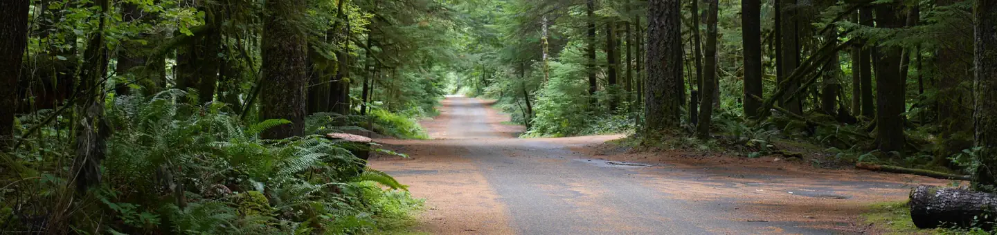 North Fork Campground (WA)