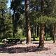 DEER CREEK CABIN (WY)