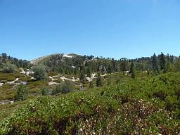 Shady Cove Group Campground
