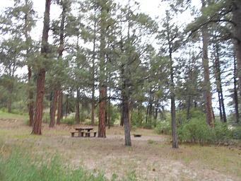 Ute Campground (CO)