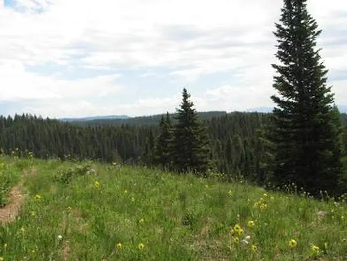 Island Lake Campground