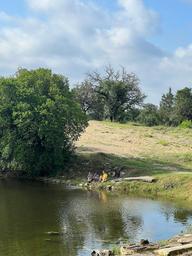 Republic of Texas Campground