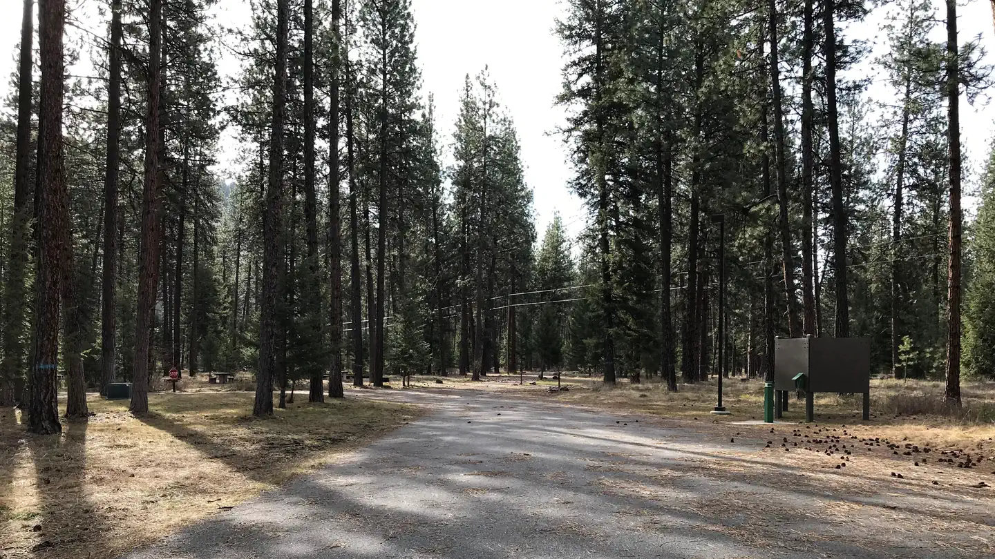 Quartz Flat Campground (MT)