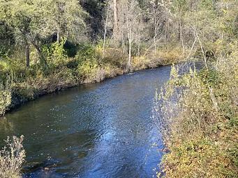 Peltier Bridge Campground