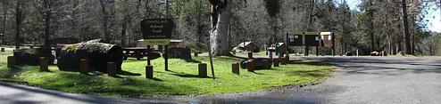 PGS, Loop: AREA PINES GROUP/STANISLAUS