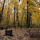 Beaver Campground