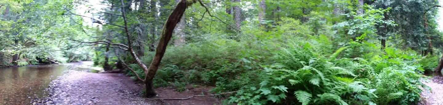 Moss Creek Campground