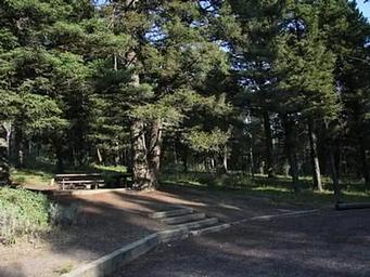 Stoddard Creek Campground