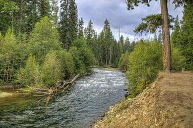 Cedar Springs Campground (WA)