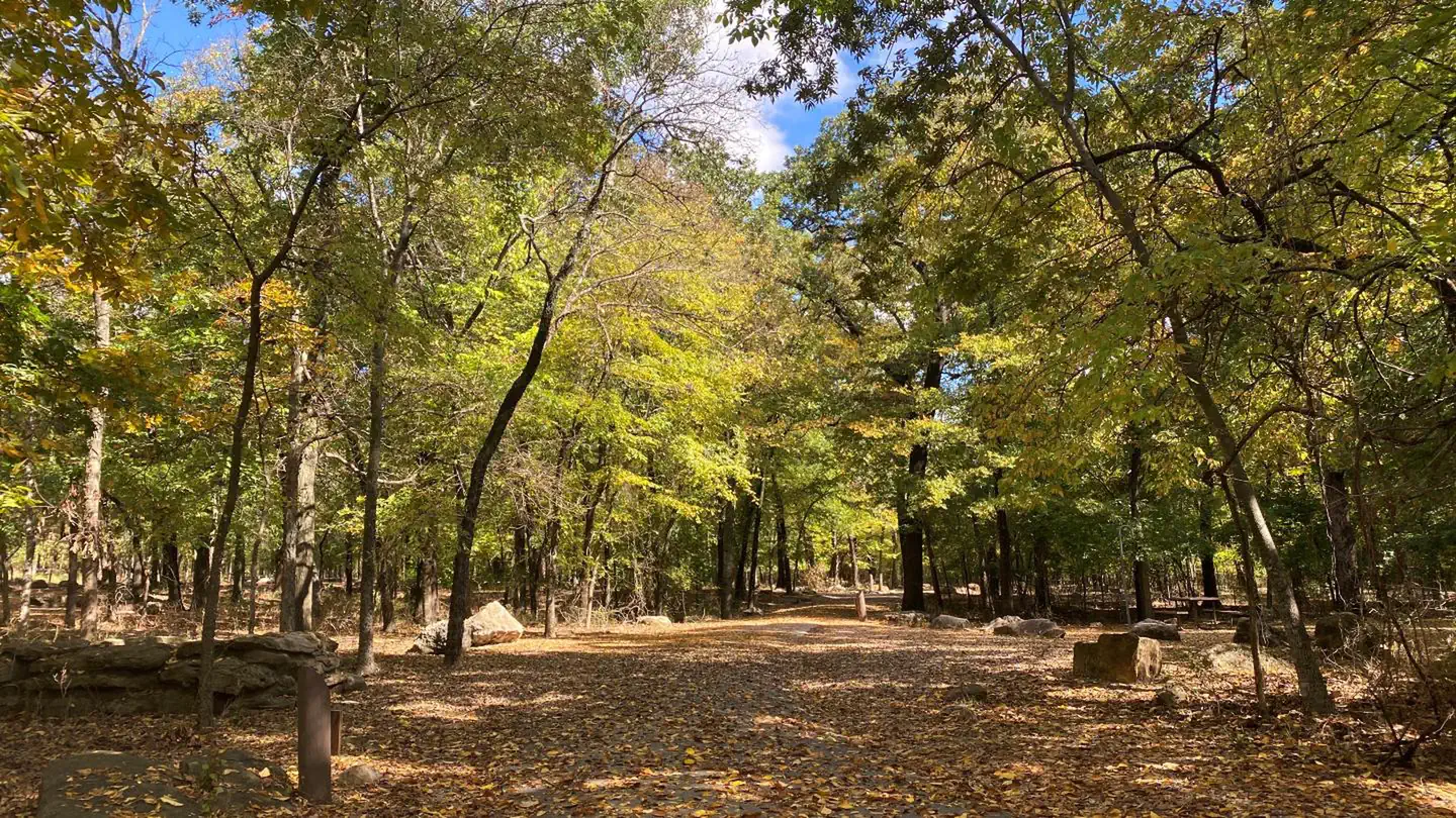 Cold Springs Campground (chickasaw)