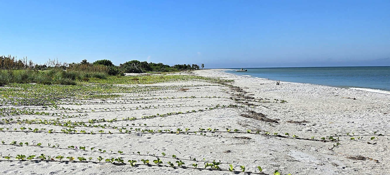 Cayo Costa Hospitality LLC, Captiva, Florida