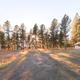 Outdoor scene with tall trees, a dirt path, a string of colorful outdoor lounge chairs, and small structures including a white tent, during sunset or sunrise.