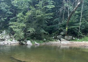 Gooney Creek Campground