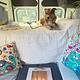 2026 Thor Freedom Elite 17D Pet Friendly Van
