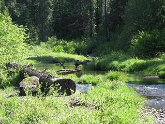 JIM CREEK GROUP CAMPGROUND