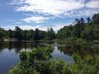 Timberland Lake Campground
