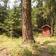 Pine Needle Group SIte