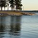 A photo of one of multiple RAYBURN Park Boat Launches from across the water.