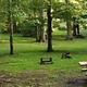 McNabb Group Camp