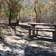 Picnic table and grill under the shade of a large tree.