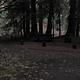 LIMBERLOST CAMPGROUND