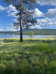 Lake photo from trail near tent camping
