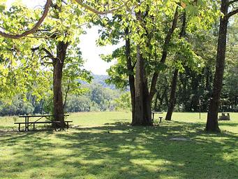 A picnic table sits on green grass with trees shading the sites.