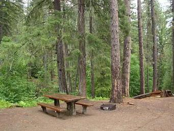 GROUSE CREEK GROUP SITE