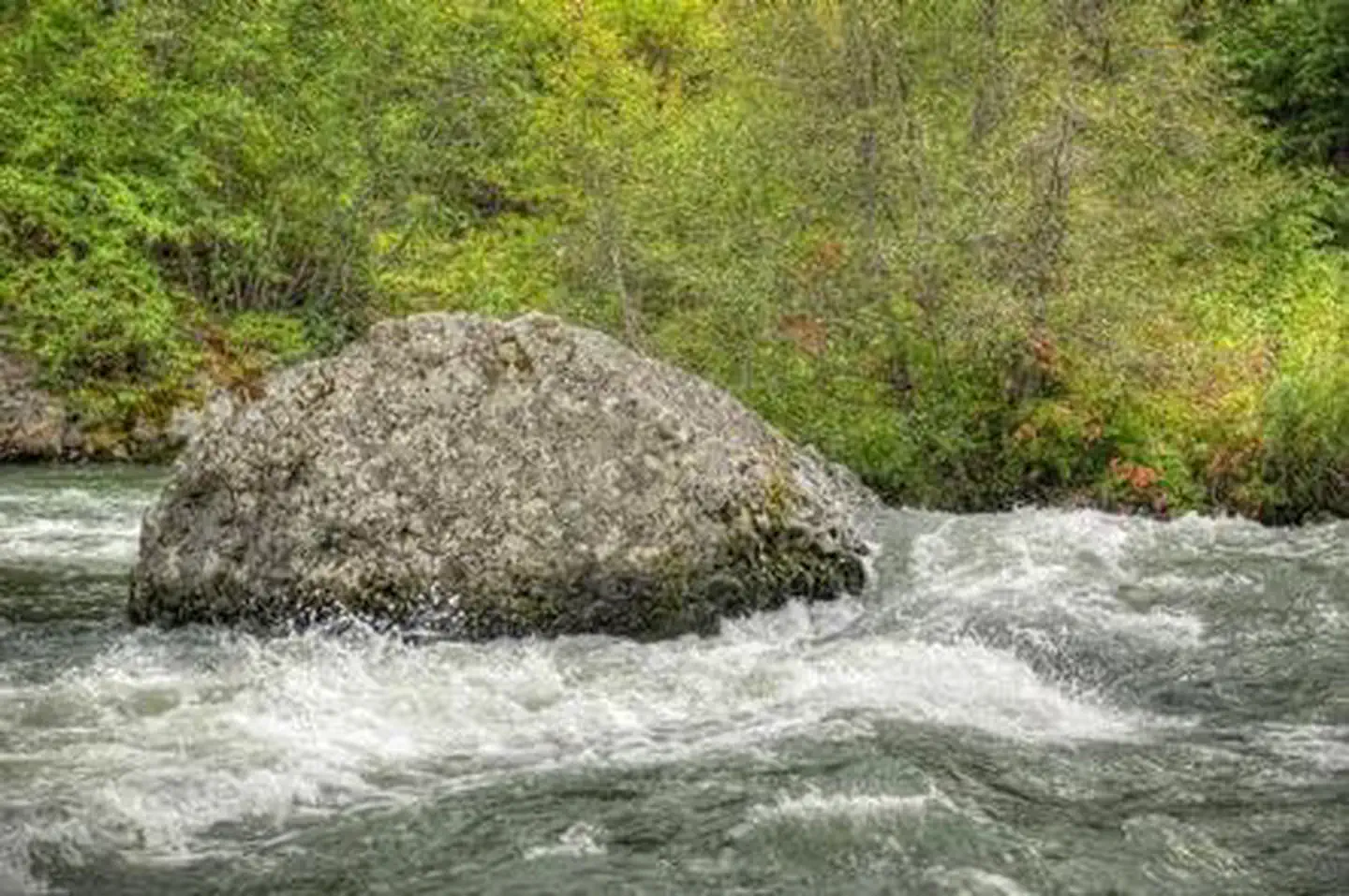 Hause Creek Campground