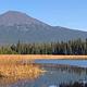 Mt. Bachelor from Hosmer Lake
