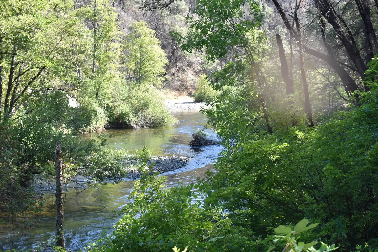 Peltier Bridge Primitive Campground