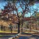 Fall view of Winding Stair Campground