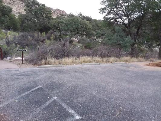 Molino, Loop: MOLINO
