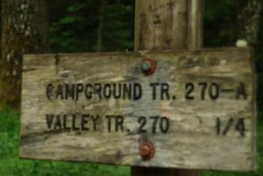 Blue Lake Creek Campground - Gifford Pinchot Nf (WA)