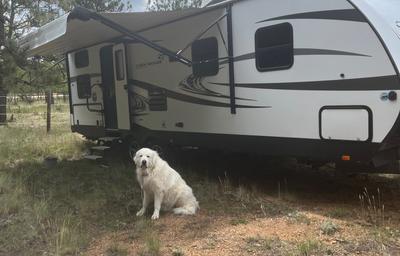 Highland Ridge Open Range Ultra Lite 31ft Sleeps 8