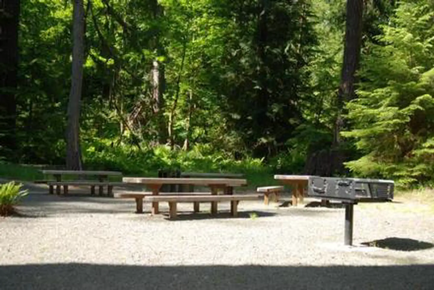 North Fork Elk Group Camp