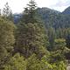 North Fork Yuba River Canyon