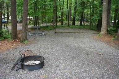 Cataloochee Campground