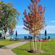 Southeastern Michigan's premiere RV park-n-go