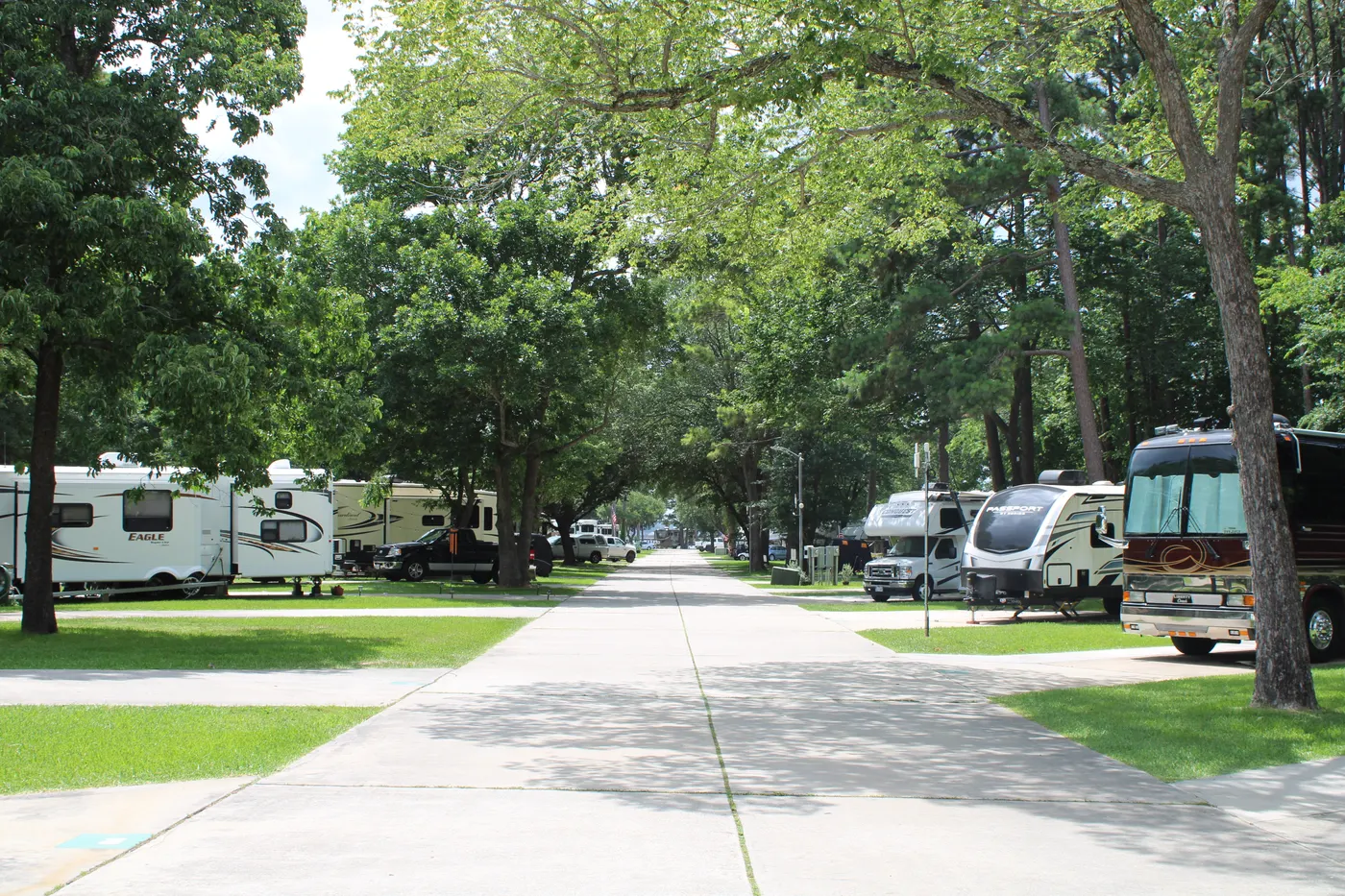 Sunset Shores on Lake Conroe