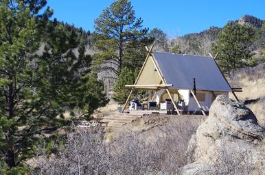 Black Tree Resort