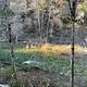 Dillon Creek