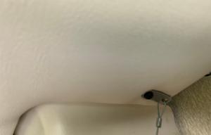 2018 Coachmen RV Pursuit 33 BH Blanche