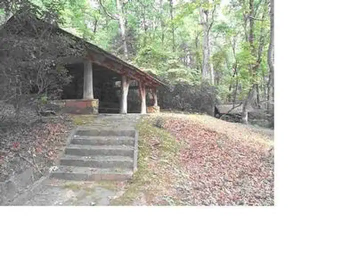 Fern Springs Day Use Picnic Area