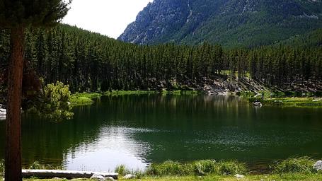 Greenough Lake
