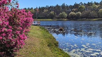 Hidden Lake Nudist Resort Campground